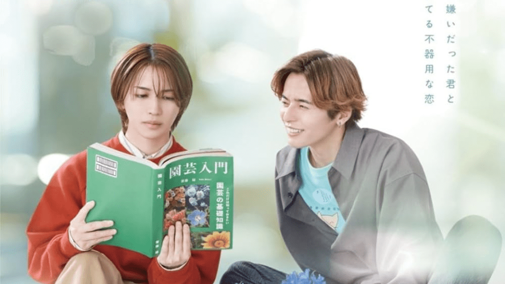 THE PROPER WAY TO WRITE LOVE y su inapropiada&nbsp;distribución